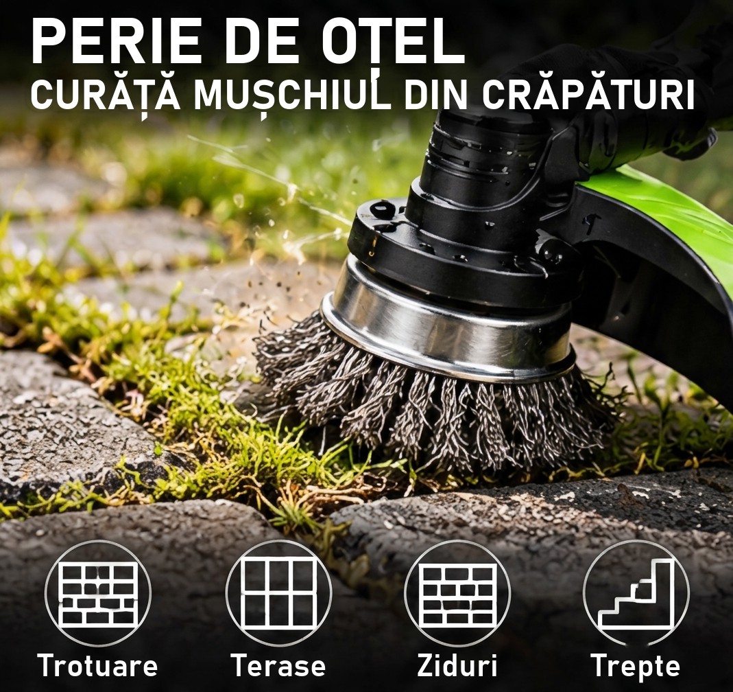 Steel brush cleaning moss from between cracks